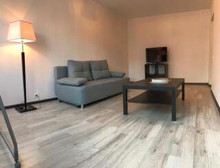 Апартаменты 1 room apartment in Statybininku pr. Клайпеда Апартаменты с 1 спальней-12