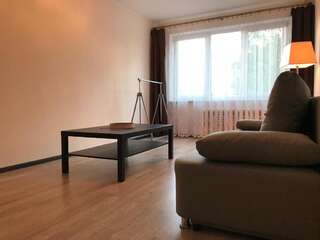 Апартаменты 1 room apartment in Statybininku pr. Клайпеда Апартаменты с 1 спальней-7